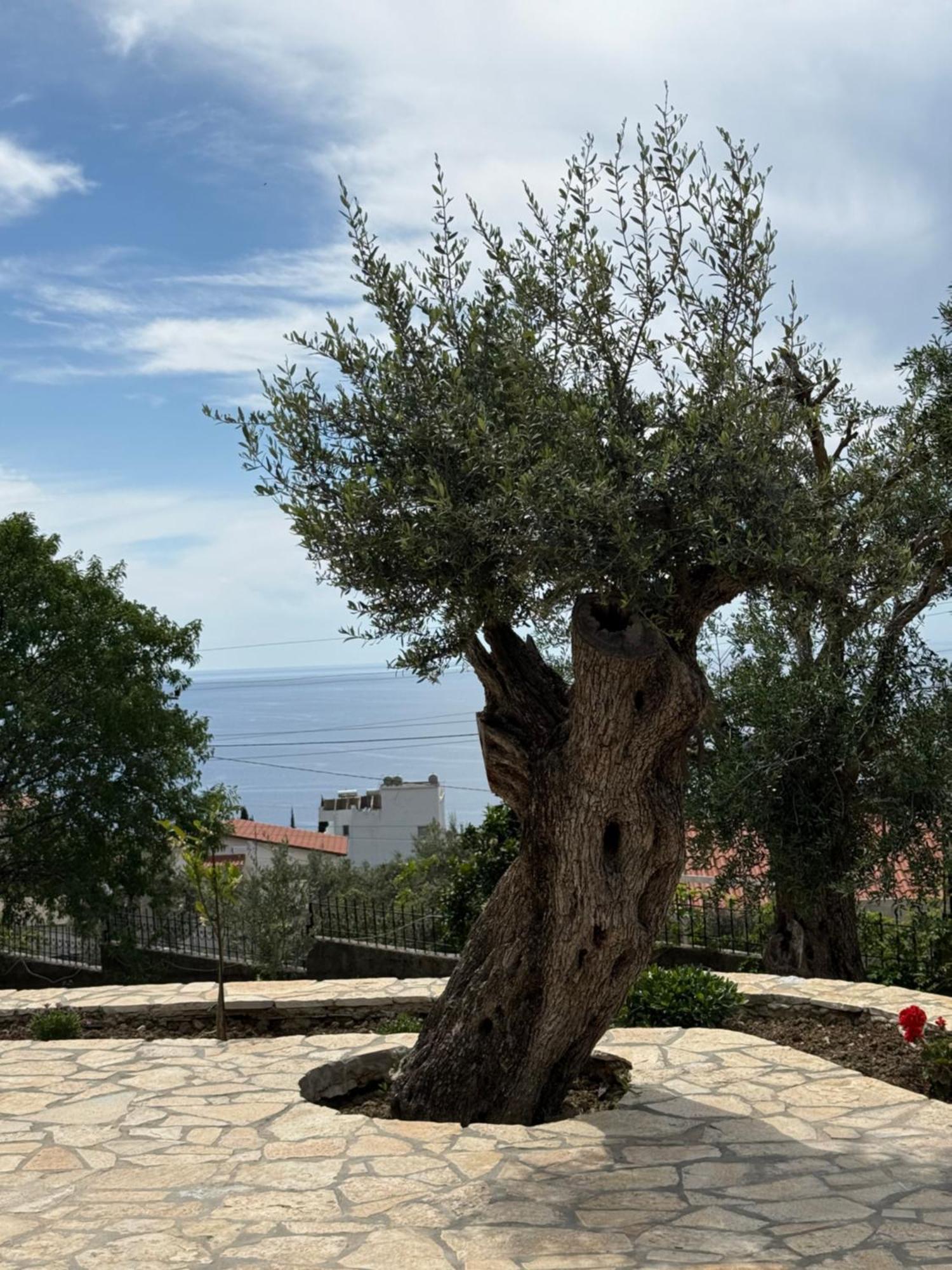Villa Thomas Dhërmi Eksteriør billede